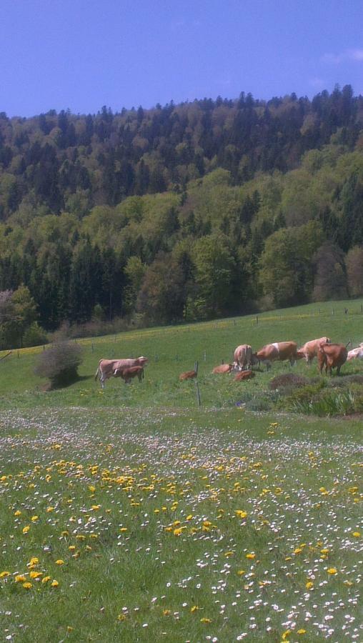 La Petite Fleur Lejlighed Enges Eksteriør billede